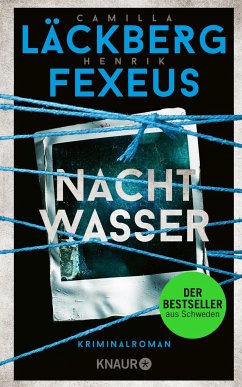 Nachtwasser / Dabiri Walder Bd.3 von Knaur